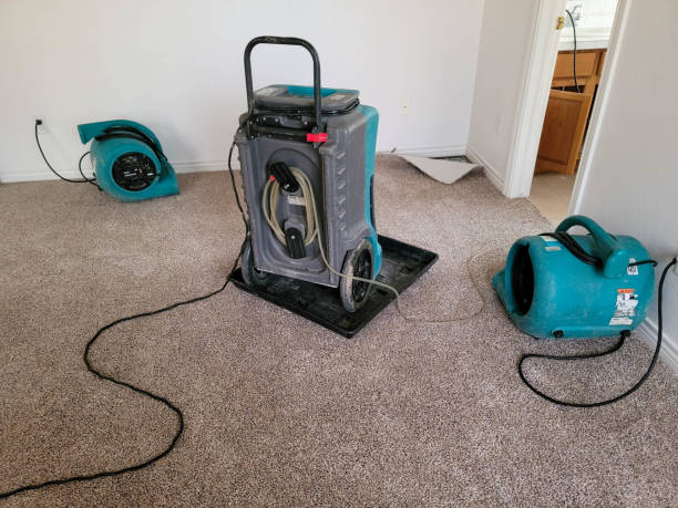 Best Water damage cleanup near me  in Woodall, OK