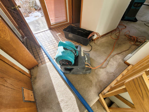 Best Fire Damage Restoration  in Woodall, OK
