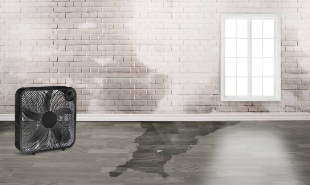 Best Flood restoration services  in Woodall, OK