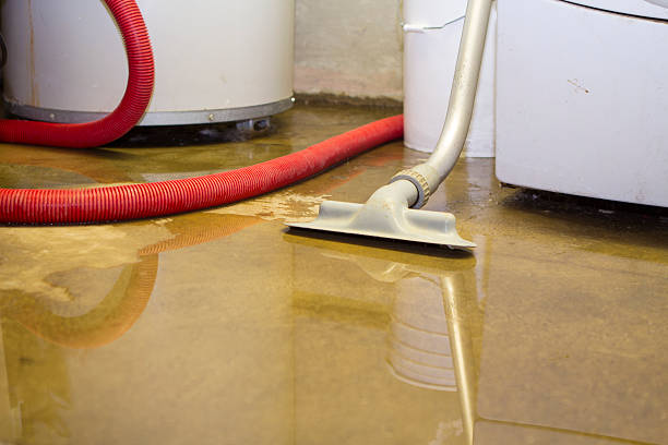 Best Basement water damage restoration  in Woodall, OK